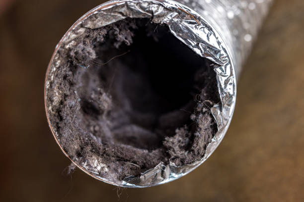Best Air Duct Cleaning Near Me  in Berwick, PA